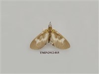 藏品(夜蛾6)的圖片